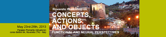 Concepts, Actions and Objects: Functional and Neural Perspectives (CAOs) 