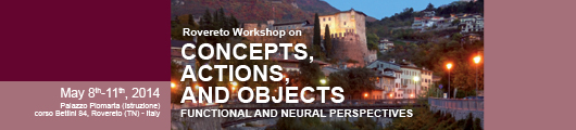 Concepts, Actions and Objects: Functional and Neural Perspectives 