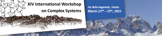 International Workshop on Complex Systems