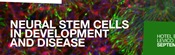 Neural Stem Cells in Development and Disease