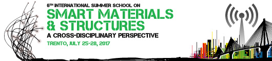 6th International Summer School on Smart Materials & Structures - A cross-disciplinary perspective