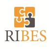 RIBES – Researches and Instruments on Business Ethics and Social and Environmental Accounting
