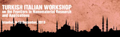 Turkish Italian Workshop on the Frontiers in Nanomaterial Research and Applications