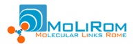 MoLiRom, Molecular Links Rome