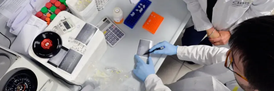 Top view of a researcher at work in a laboratory of the Dept. of Cellular, Computational and Integrative Biology - CIBIO