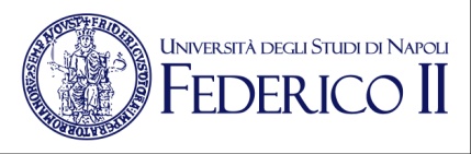 università Federico II - Napoli