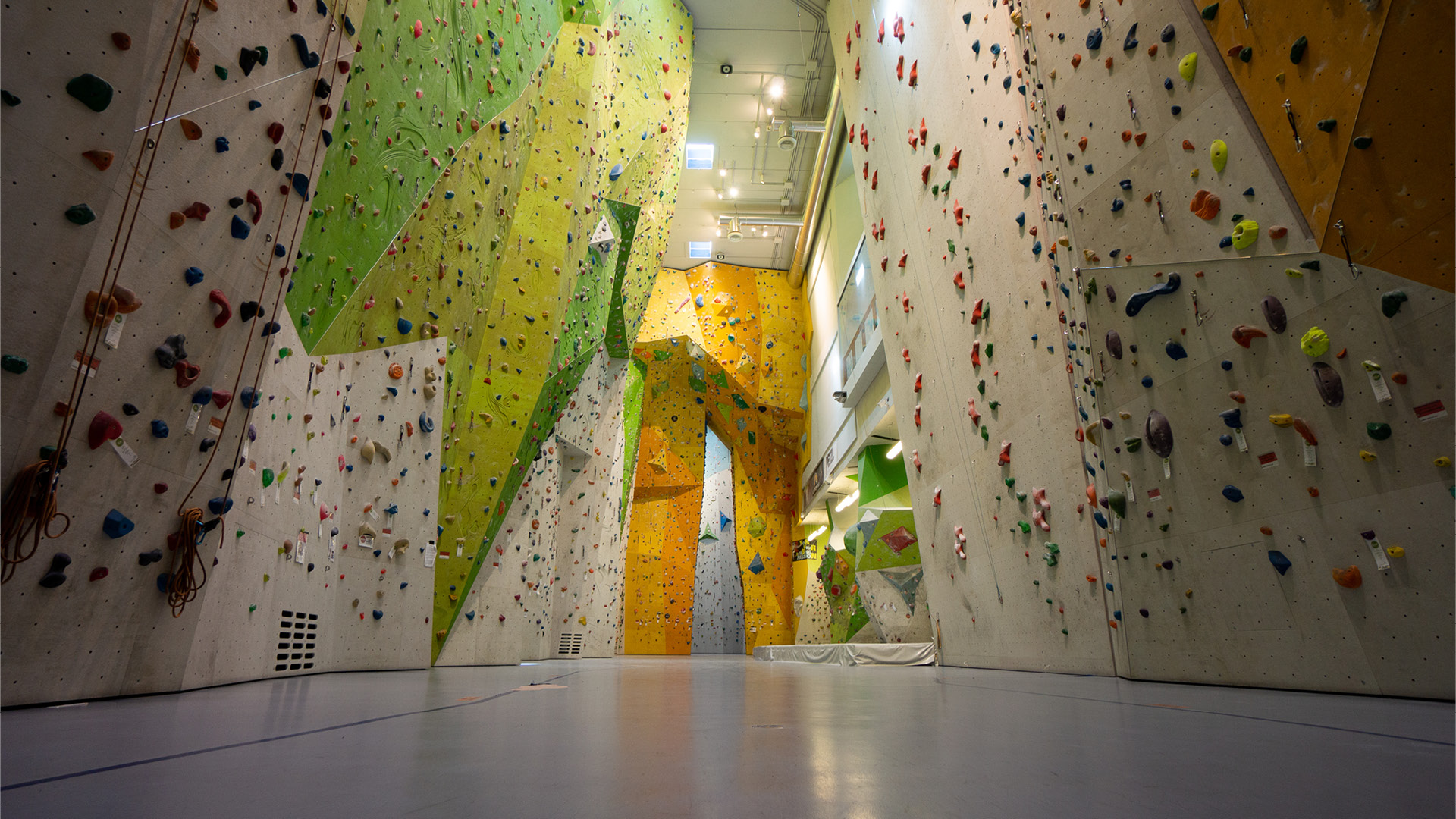 Palestra arrampicata San Bartolameo