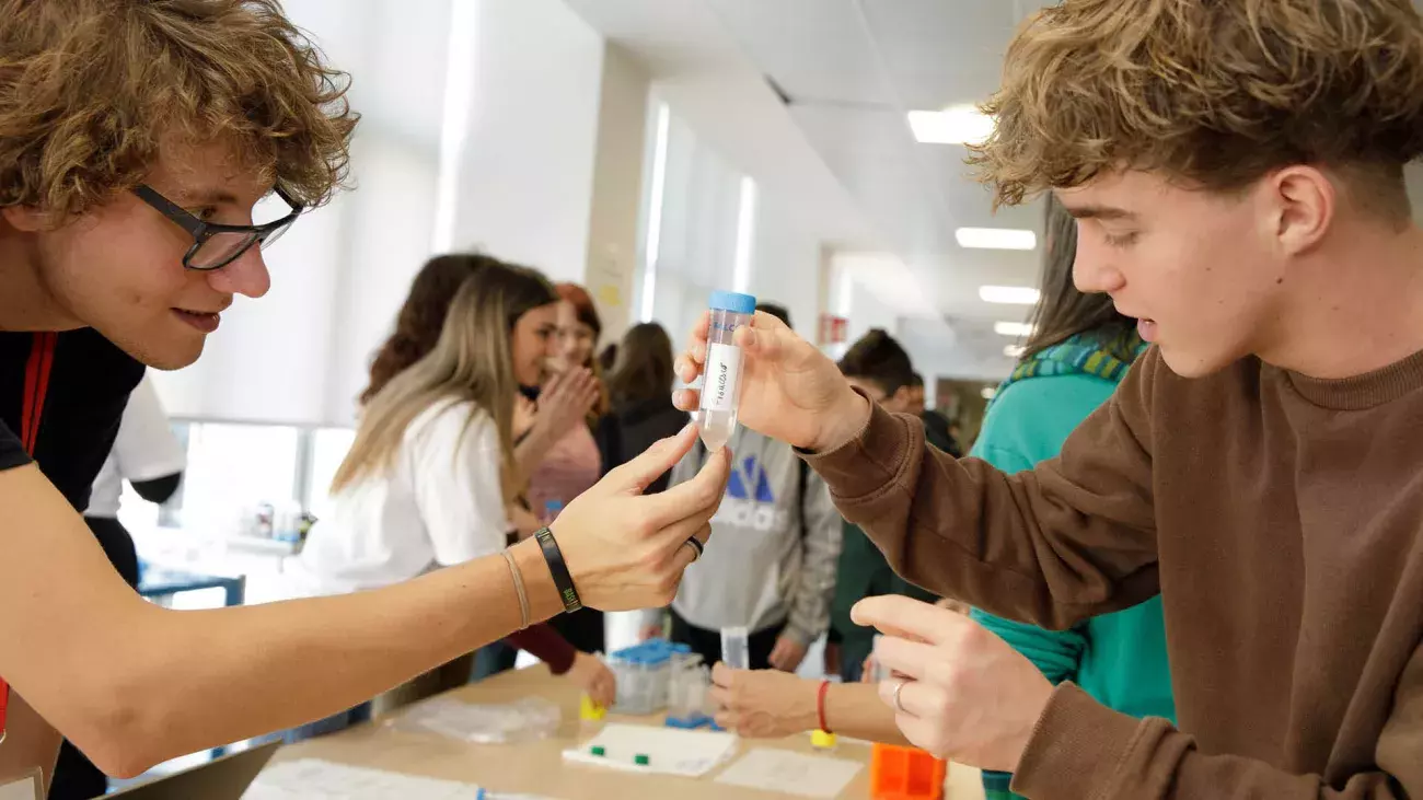 studenti che maneggiano una provetta