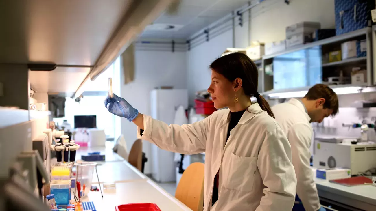 Laboratoio del CIBIO con ricercatrice che osserva una provetta