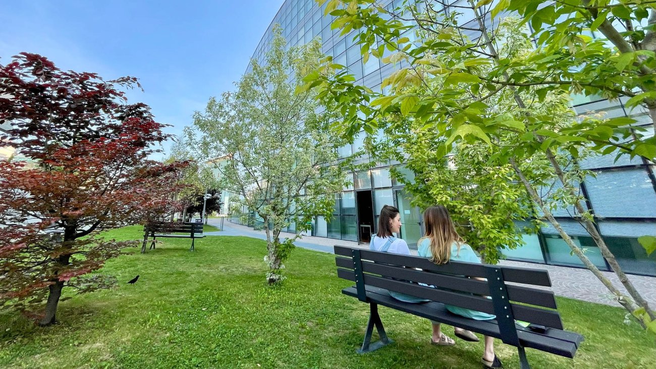 vista esterno Palazzo Prodi con prato e alberi
