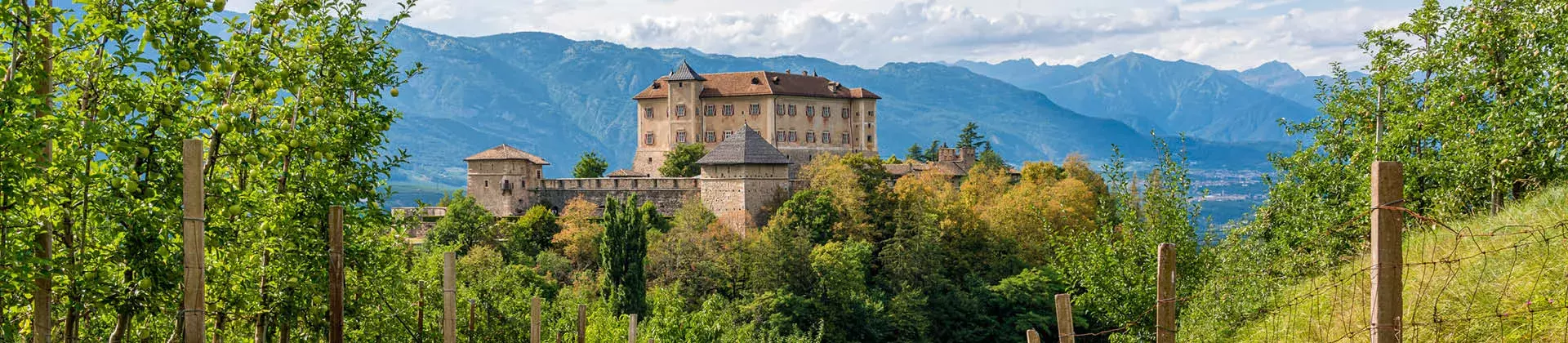 Castel Thun e vigneti