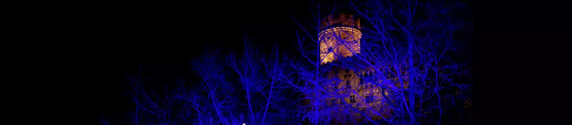 Torre Castello illuminata, alberi illuminati