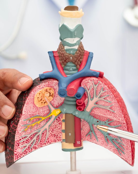 Il respiro della materia